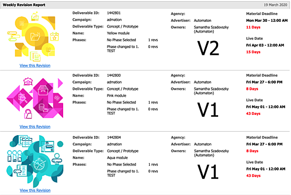 RevisonReport